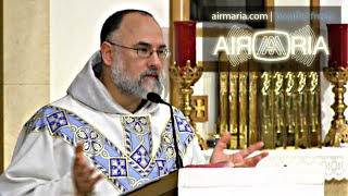 Deliberate Venial Sin Path to Death of the Soul  May 29  Homily  Fr Alan [upl. by Akeim]