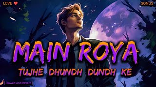 MAIN ROYA TUJHE DHUNDH DUNDH KE  Slowed And Reverb  Danish Lofi Songs [upl. by Calesta]