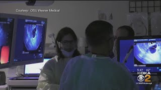 New Technique To Look Inside Pancreatic Cysts [upl. by Flita]