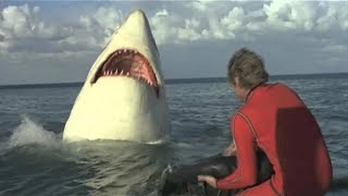 The Last Jaws 1981 Full Movie [upl. by Elsey]