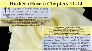 Hoshea Hosea Ch 1114 quotout of Mitsrayim I called My son quotWhere is your plague O Death Where is [upl. by Aiek]