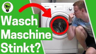 Waschmaschine Stinkt ✅ ULTIMATIVE LÖSUNG Waschmaschine Reinigen wenn Wäsche nach Waschen Stinkt [upl. by Winna]