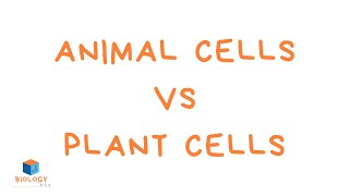 Animal Cells vs Plant Cells KS3 animal and plant cells [upl. by Linsk626]