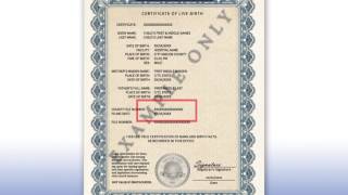 What Type Of Birth Certificate Is Needed For A Passport [upl. by Anwadal]