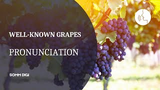 WINE GRAPE VARIETIES  How to pronounce wine grapes Wine Pronunciation [upl. by Nauqan988]