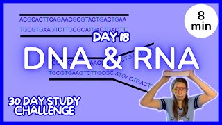 Day 18 DNA amp RNA  30 Day Biology Study Challenge 2024 [upl. by Quinn]