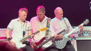 Status Quo  Whatever you want 4k Live at Toolwood Munich 08072024 bokodimusic [upl. by Zednanref]