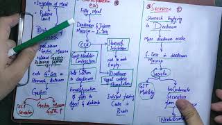 guyton 63 part 4 hormonal control of gastrointestinal motilitygastrinccksecretingipmotilin [upl. by Noral]