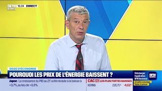 Doze déconomie  Pourquoi les prix de lénergie baissentils [upl. by Gnous]