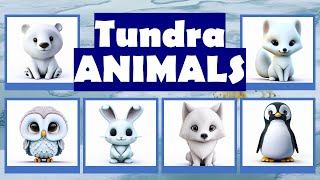 Flashcards Tundra Animals [upl. by Rains]