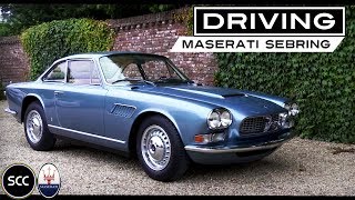 MASERATI SEBRING 35 GTI Injection 1965  Test drive in top gear  Engine sound  SCC TV [upl. by Ardnat]