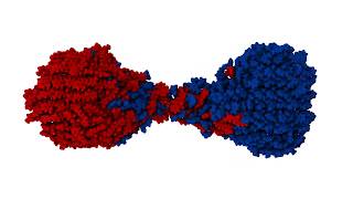 Simulated Mechanochemical Indentation of aspirin and meloxicam [upl. by Sorenson]