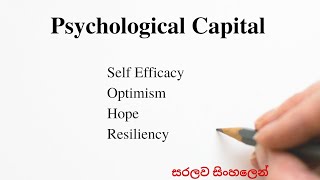 What is Psychological Capital  Organizational Behavior  Sinhala  Uni Academy [upl. by Heydon871]