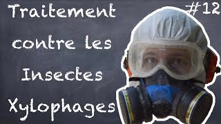 Traitement contre les Insectes Xylophages  NLAB 12 [upl. by Zitah]