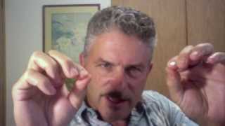 Ear Massage Routine for Wellness amp Self Healing Part 2 [upl. by Gav]