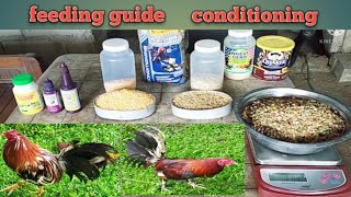 feeding guide ng 21 days conditioning [upl. by Poree310]