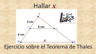 Teorema de Thales  Proporcionalidad  La Prof Lina M3 [upl. by Orodoet]