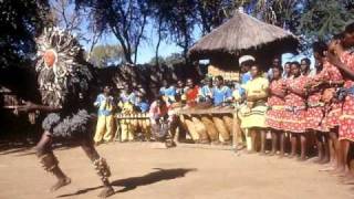 Danza tribal africana Malinke Singers ethnic african dance [upl. by Earvin738]