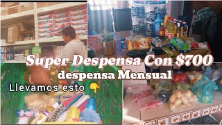 DESPENSA MENSUAL CON POCO  🤑 Compramos todo ESTO [upl. by Accisej]