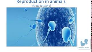 CBSE 8th Biology Reproduction in Animals Class notes session 5 [upl. by Carlye]