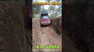 Old Telegraph Track In a Subaru [upl. by Bertero713]