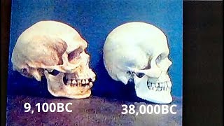 Oldest Negroid Skull ever found Date revision 2019 [upl. by Akehsay546]