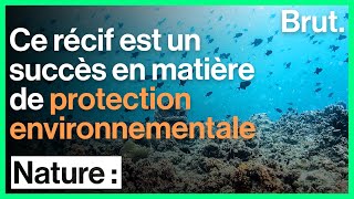 Récif de Tubbataha  un succès en matière de protection environnementale [upl. by Kinna]