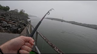 Fishing Below A Dam Early Spring Rain amp 18000gps [upl. by Juliette29]