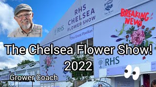 RHS Wisley Flower Show  National Dahlia Society Displays 2021 [upl. by Mahla]