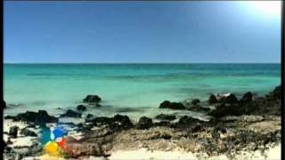 Corralejo in Fuerteventura Travel  Holidays  Pleasure Beach amp Weather Canary Island [upl. by Strephon]