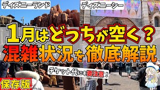 1月ディズニーの混雑予想！穴場のおすすめ期間やイベント始めの混み具合まで徹底シェアします♩ [upl. by Strohben]