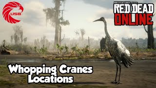 Whooping Cranes Locations rdr2 Online  Red Dead Online Whooping Cranes Location Guide [upl. by Leasim]