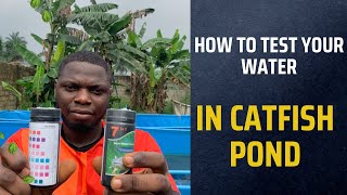 Catfish Pond Water Testing  How to test your water in a Catfish Pond catfishfarming fish [upl. by Rednazxela]