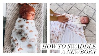 How to Swaddle a Newborn Baby l Snuggle Hunny [upl. by Arah447]