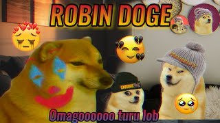 OMAGOOOOOO TURU LOB  ROBIN DOGE  🤡SMAAJ HAR KOI MAJE LE RHA HAI EK DUSRE KE🤡 [upl. by Brie567]