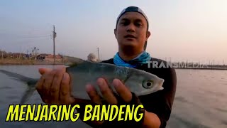 Serunya Menjaring Ikan Di Tambak  MANCING MANIA STRIKE BACK 281023 Part 2 [upl. by Bazil]