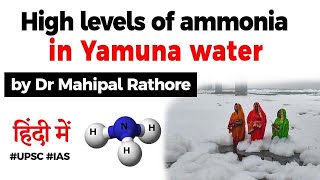 Why Yamuna river is highly polluted Why high level of ammonia in water is very dangerous UPSC IAS [upl. by Froh]