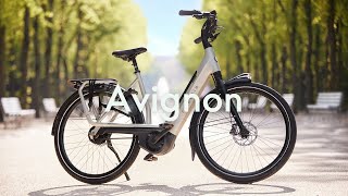 Everything you want to know about our latest Ebike Avignon  Gazelle [upl. by Anaid]