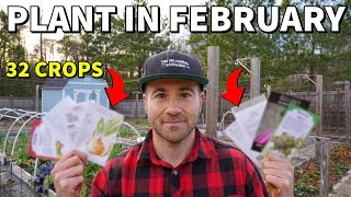 32 Veggies You Can Plant In February RIGHT NOW [upl. by Eelesor196]