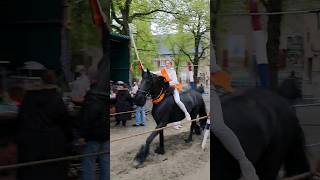 Middelburg Netherlands Ringrijden TravelwithHugoF horses middelburg [upl. by Zola]