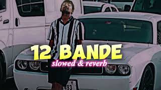 12 BANDE SONG LYRICS SLOWEDREVERB X MRINDIANHACKER ATTITUDE SONGS ll PKC [upl. by Iccir554]