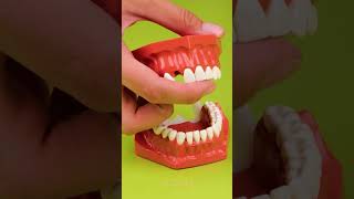 Oh no 🤯 Lets make another tooth diy gadget [upl. by Marchak]