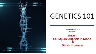 Analysis of multiple genes Dihybrid Cross ChiSquare [upl. by Kentiggerma644]