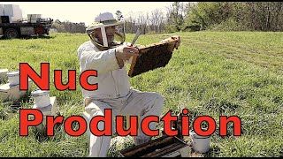 Producing Bee Nucs [upl. by Marutani]