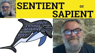 😎 Sentient Meaning  Sapient Definition  Sentient vs Sapient Examples  Sapient or Sentient [upl. by Aicssej87]