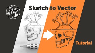 Convert Drawings Into VECTOR Graphics • Illustrator amp Procreate Tutorial [upl. by Lyris]