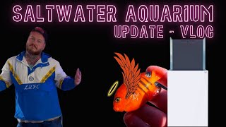 The Saltwater Aquarium Update  Reefy Vlog [upl. by Libnah]