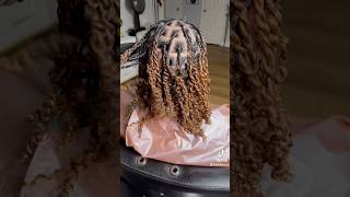 Two strand twist starter Locs [upl. by Ahern]