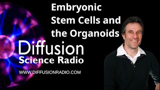 Embryonic Stem Cells and the Organoids [upl. by Jules809]