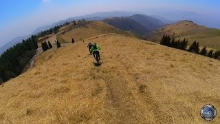 In Mountain Bike dal Mottarone la discesa del quotPesconequot [upl. by Jack838]